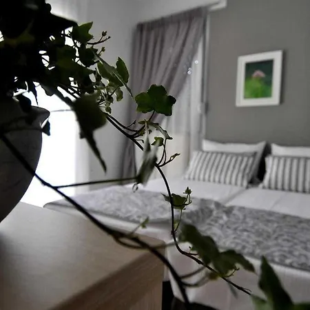 Armyra Πευκοχώρι