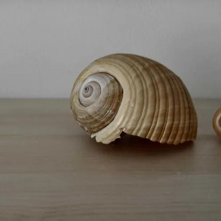 Apartamento Armyra *